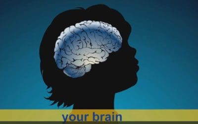 WHY IS PLAY SO IMPORTANT?